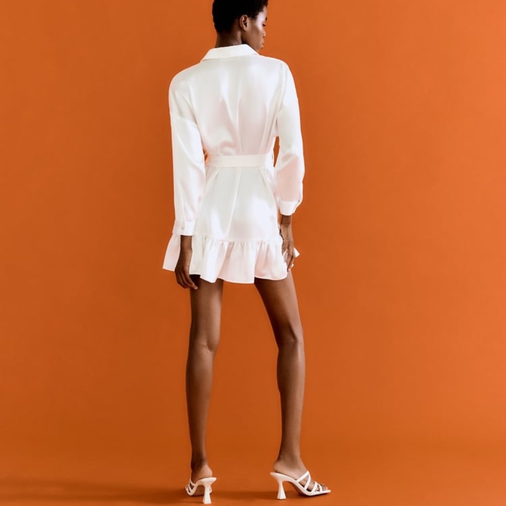 ZARA button down dress - Picture 4 of 13